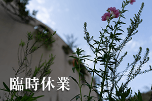 ニュース_01